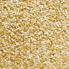 Ковролин AW Masquerade Certosa 50 фото 1 | FLOORDEALER